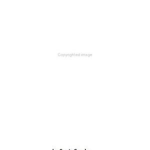 Phonics: 12 Book Reading Program