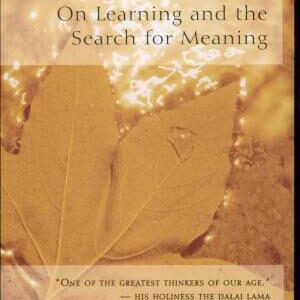 Life Ahead: On Learning and the Search for Meaning