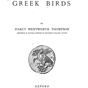 A Glossary of Greek Birds