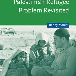 The Birth of the Palestinian Refugee Problem Revisited