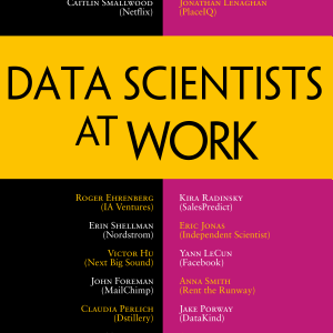 Data Scientists at Work