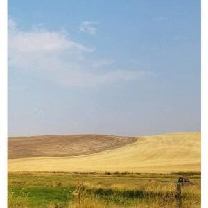 The Prairie