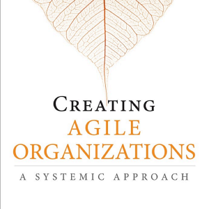 Creating Agile Organizations: A Systemic Approach