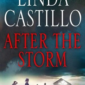 After the Storm: A Kate Burkholder Novel