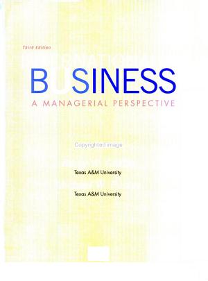 International Business: A Managerial Perspective