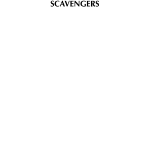 The World's Scavengers: Salvaging for Sustainable Consumption and Production
