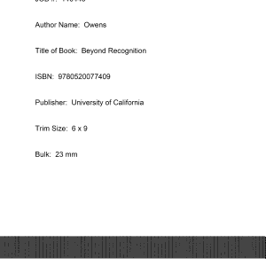 Beyond Recognition: Representation, Power, and Culture