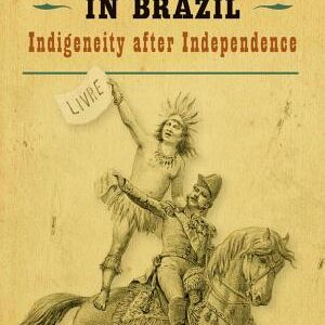 Native and National in Brazil: Indigeneity after Independence