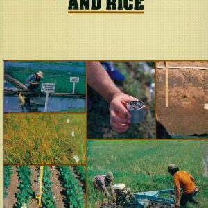 Soil Physics and Rice