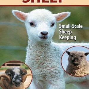 Sheep: Small Scale Sheep Keeping