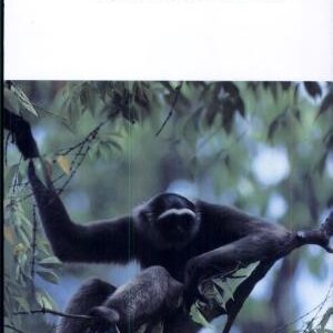 The Theory of Evolution