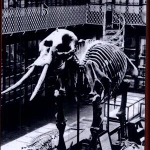 On the Origin of Species