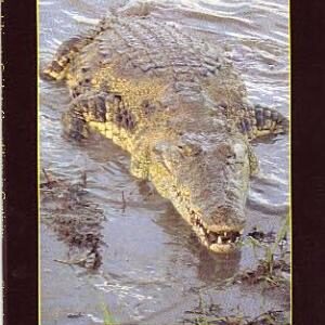 The Ultimate Guide to Crocodilians in Captivity