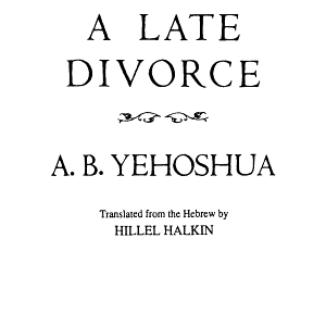 A Late Divorce: A Novel