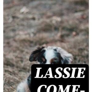Lassie Come-Home