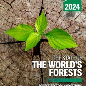 The State of the World’s Forests 2024: Forest-sector innovations towards a more sustainable future