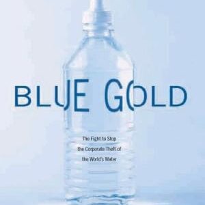 Blue Gold: The Fight to Stop the Corporate Theft of the World's Water