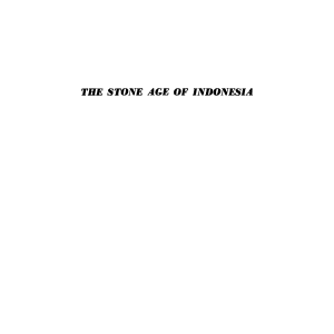 The Stone Age of Indonesia