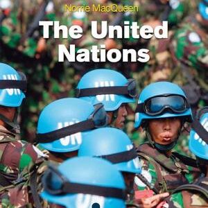 The United Nations: A Beginner's Guide