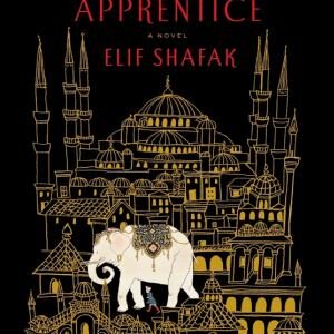 The Architect's Apprentice: A Novel