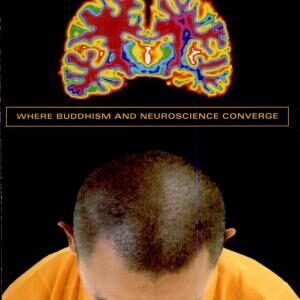Contemplative Science: Where Buddhism and Neuroscience Converge
