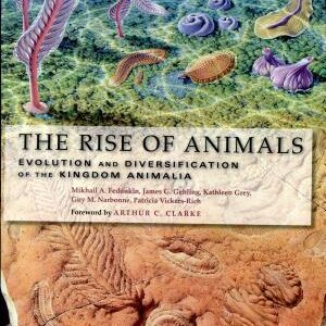 The Rise of Animals: Evolution and Diversification of the Kingdom Animalia