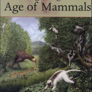 The Beginning of the Age of Mammals