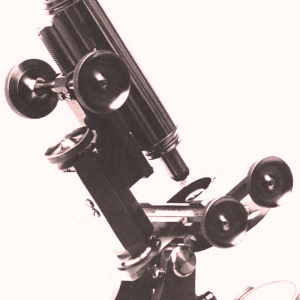 Microscope in the Brewery and Malt-house