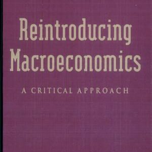 Reintroducing Macroeconomics: A Critical Approach