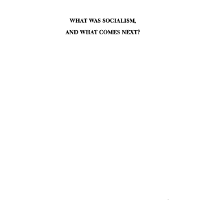 What was Socialism, and what Comes Next?