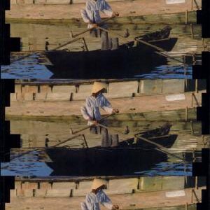 Third World Political Ecology: An Introduction