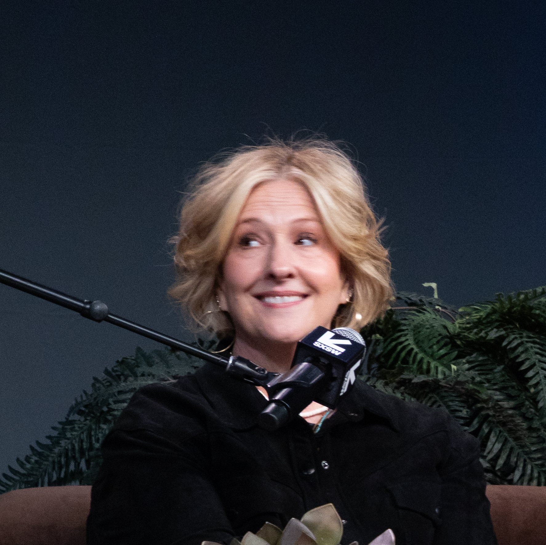 Brene Brown - vulnerability researcher bestselling author