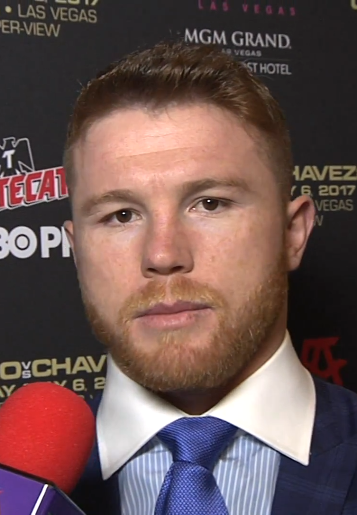 Canelo Álvarez portrait — Canelo Álvarez net worth profile