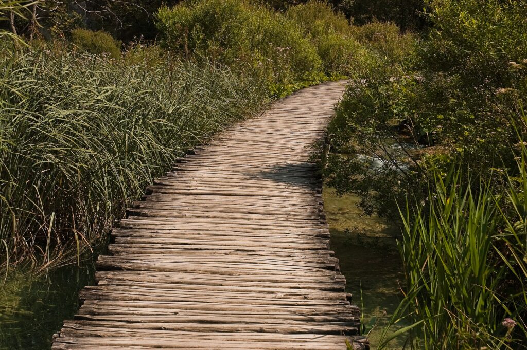 Wooden boardwalk through reeds at Plitvice Lakes National Park