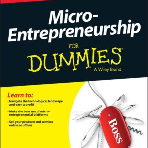 Micro-Entrepreneurship For Dummies