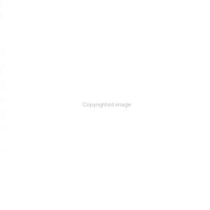 Marketing Fundamentals