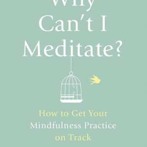 Why Can't I Meditate?: how to get your mindfulness practice on track