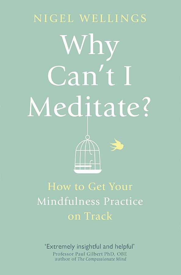 Why Can't I Meditate?: how to get your mindfulness practice on track