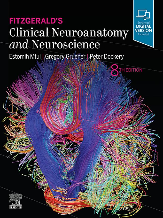 Fitzgerald's Clinical Neuroanatomy and Neuroscience E-Book: Fitzgerald's Clinical Neuroanatomy and Neuroscience E-Book