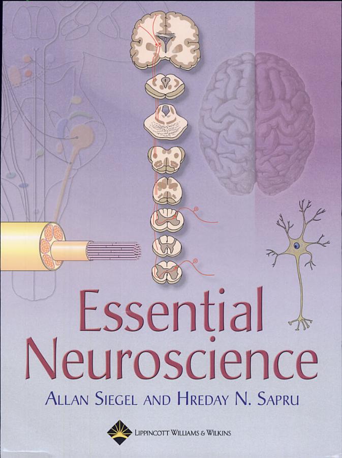 Essential Neuroscience