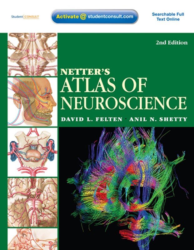 Netter's Atlas of Neuroscience E-Book: Netter's Atlas of Neuroscience E-Book