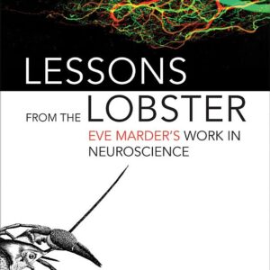 Lessons from the Lobster: Eve Marder's Work in Neuroscience
