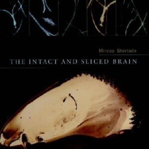 The Intact and Sliced Brain