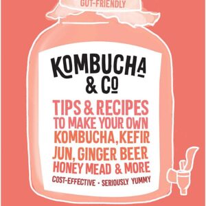 Kombucha & Co: Tips and recipes to make your own kombucha, kefir, jun, ginger beer, honey mead and more